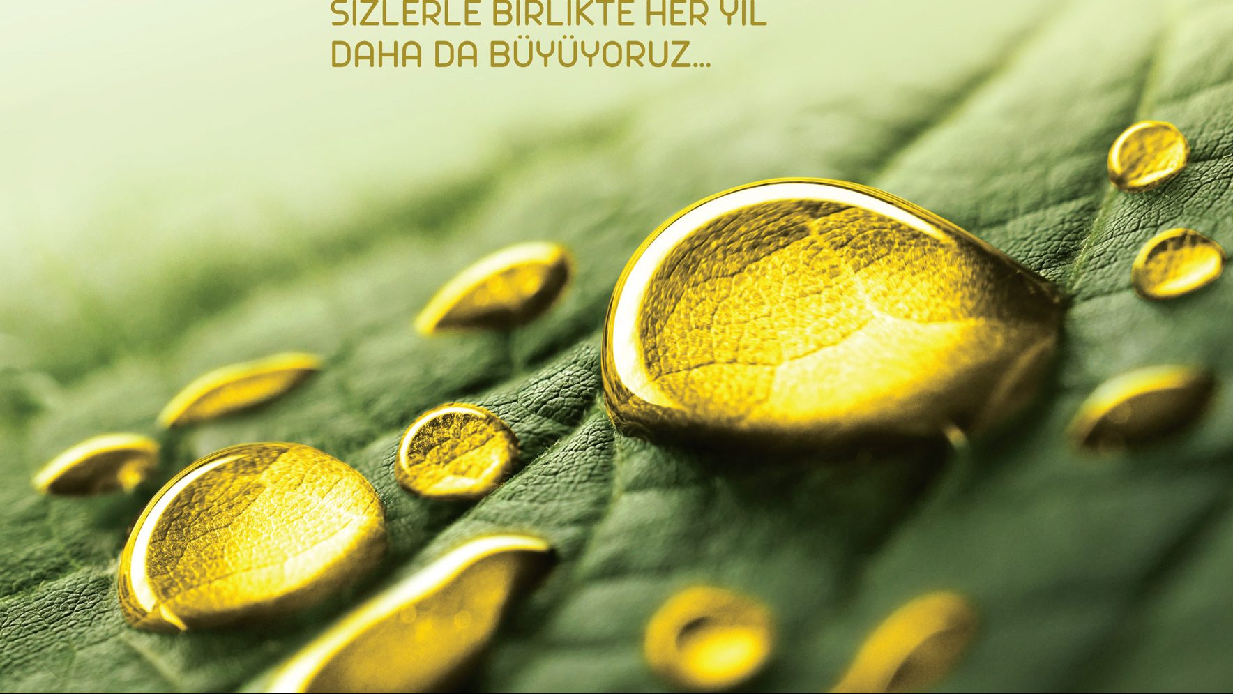 Animasyonun Geleceği: 2025 ve Sonrasında 2D Animasyon Trendleri